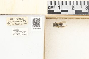 Media type: image;   Entomology 768461 Aspect: Labels
